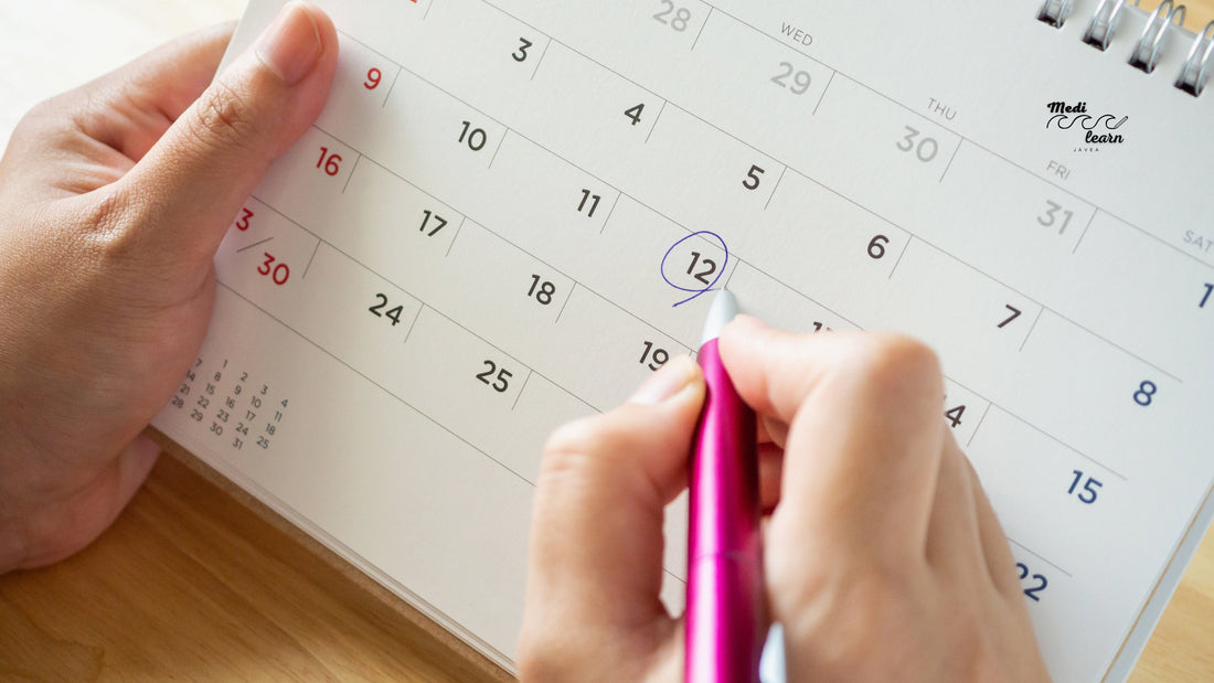 How to Create a Weekly Study Plan for Language Learning